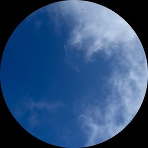 Meet your Posher, Rocio